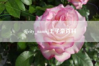 衢州王子豪百科