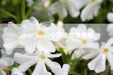 衢州中国地图像素版