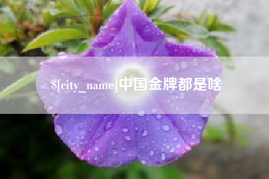 衢州中国金牌都是啥