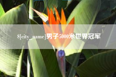 衢州男子5000米世界冠军