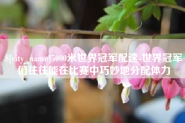衢州5000米世界冠军配速-世界冠军们往往能在比赛中巧妙地分配体力