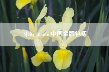 衢州中国金牌包括