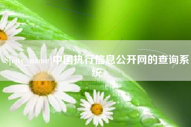 衢州中国执行信息公开网的查询系统