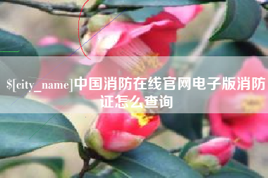 衢州中国消防在线官网电子版消防证怎么查询