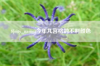 衢州今年九宫格的不利颜色