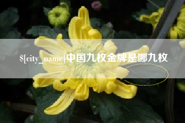 衢州中国九枚金牌是哪九枚