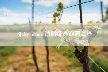 衢州消防证查询怎么查