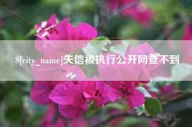 衢州失信被执行公开网查不到