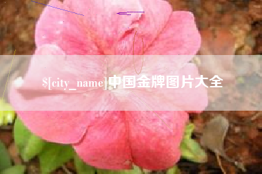 衢州中国金牌图片大全