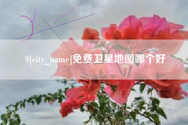 衢州免费卫星地图哪个好