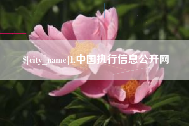衢州1.中国执行信息公开网