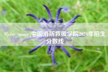 衢州中国消防救援学院2024年招生分数线
