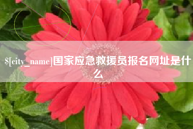 衢州国家应急救援员报名网址是什么