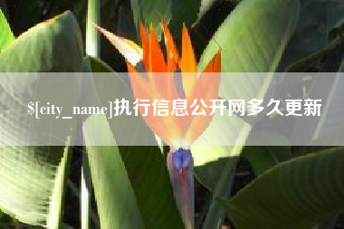 衢州执行信息公开网多久更新