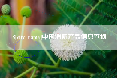 衢州中国消防产品信息查询