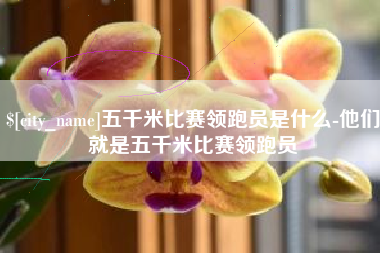 衢州五千米比赛领跑员是什么-他们就是五千米比赛领跑员