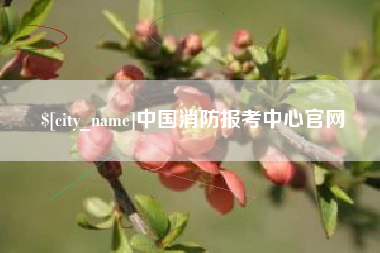 衢州中国消防报考中心官网