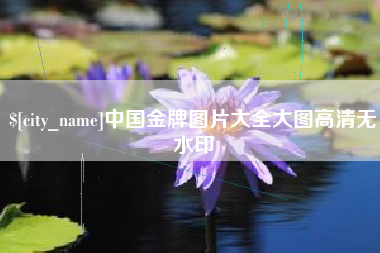 衢州中国金牌图片大全大图高清无水印