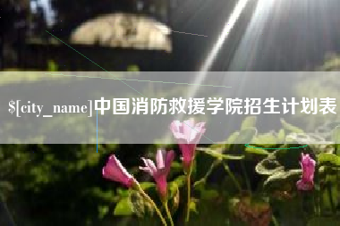 衢州中国消防救援学院招生计划表
