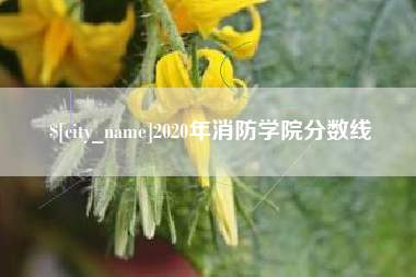衢州2020年消防学院分数线