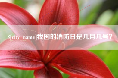 衢州我国的消防日是几月几号？