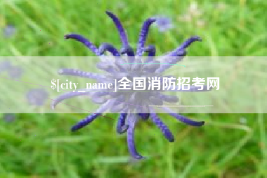 衢州全国消防招考网