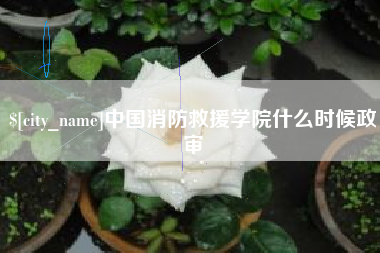 衢州中国消防救援学院什么时候政审