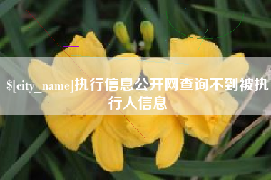 衢州执行信息公开网查询不到被执行人信息