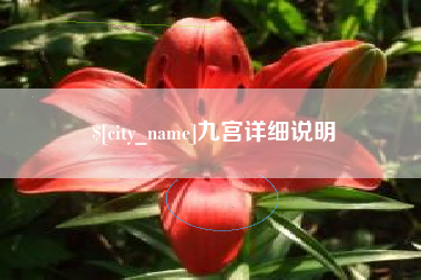 衢州九宫详细说明