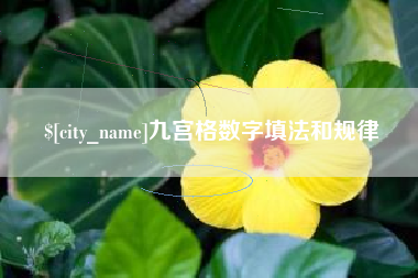 衢州九宫格数字填法和规律
