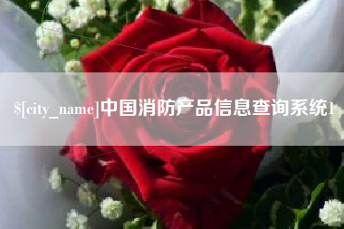 衢州中国消防产品信息查询系统1