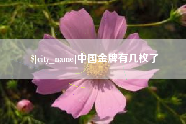 衢州中国金牌有几枚了