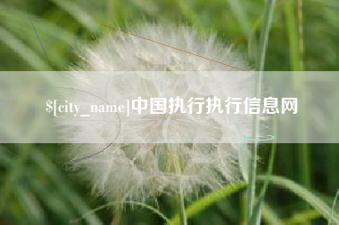 衢州中国执行执行信息网