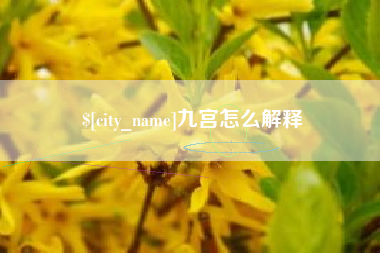 衢州九宫怎么解释