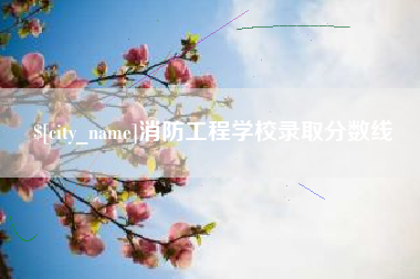 衢州消防工程学校录取分数线