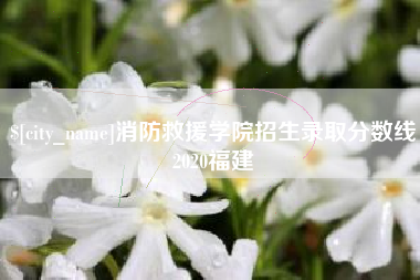 衢州消防救援学院招生录取分数线2020福建