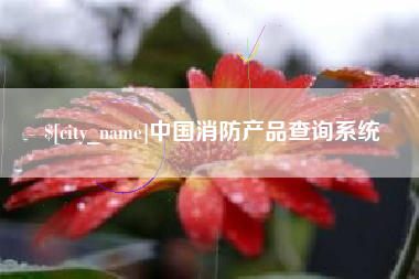 衢州中国消防产品查询系统