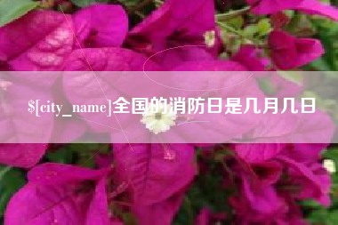 衢州全国的消防日是几月几日