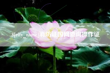 衢州消防证国网查询操作证