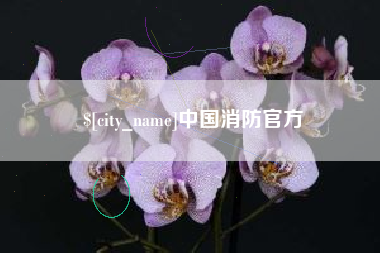 衢州中国消防官方