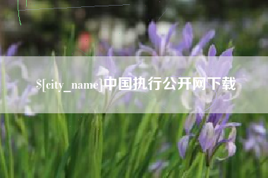 衢州中国执行公开网下载