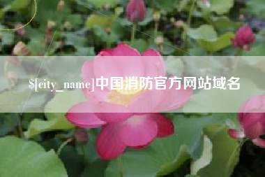 衢州中国消防官方网站域名