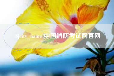 衢州中国消防考试网官网