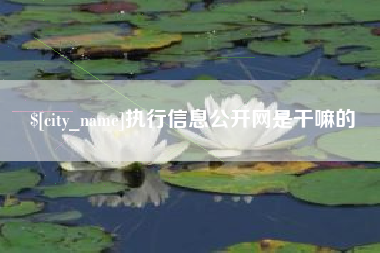 衢州执行信息公开网是干嘛的