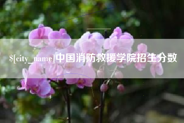 衢州中国消防救援学院招生分数