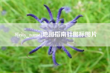 衢州地图指南针图标图片