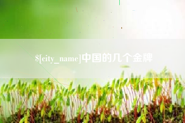 衢州中国的几个金牌