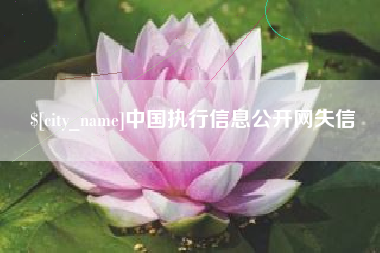 衢州中国执行信息公开网失信