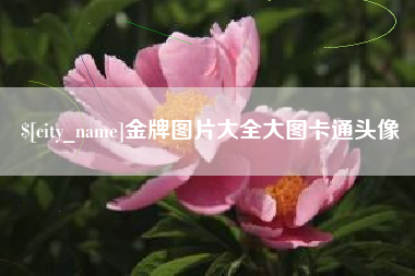 衢州金牌图片大全大图卡通头像