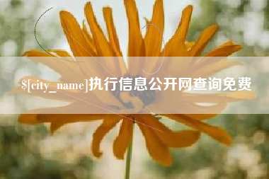 衢州执行信息公开网查询免费
